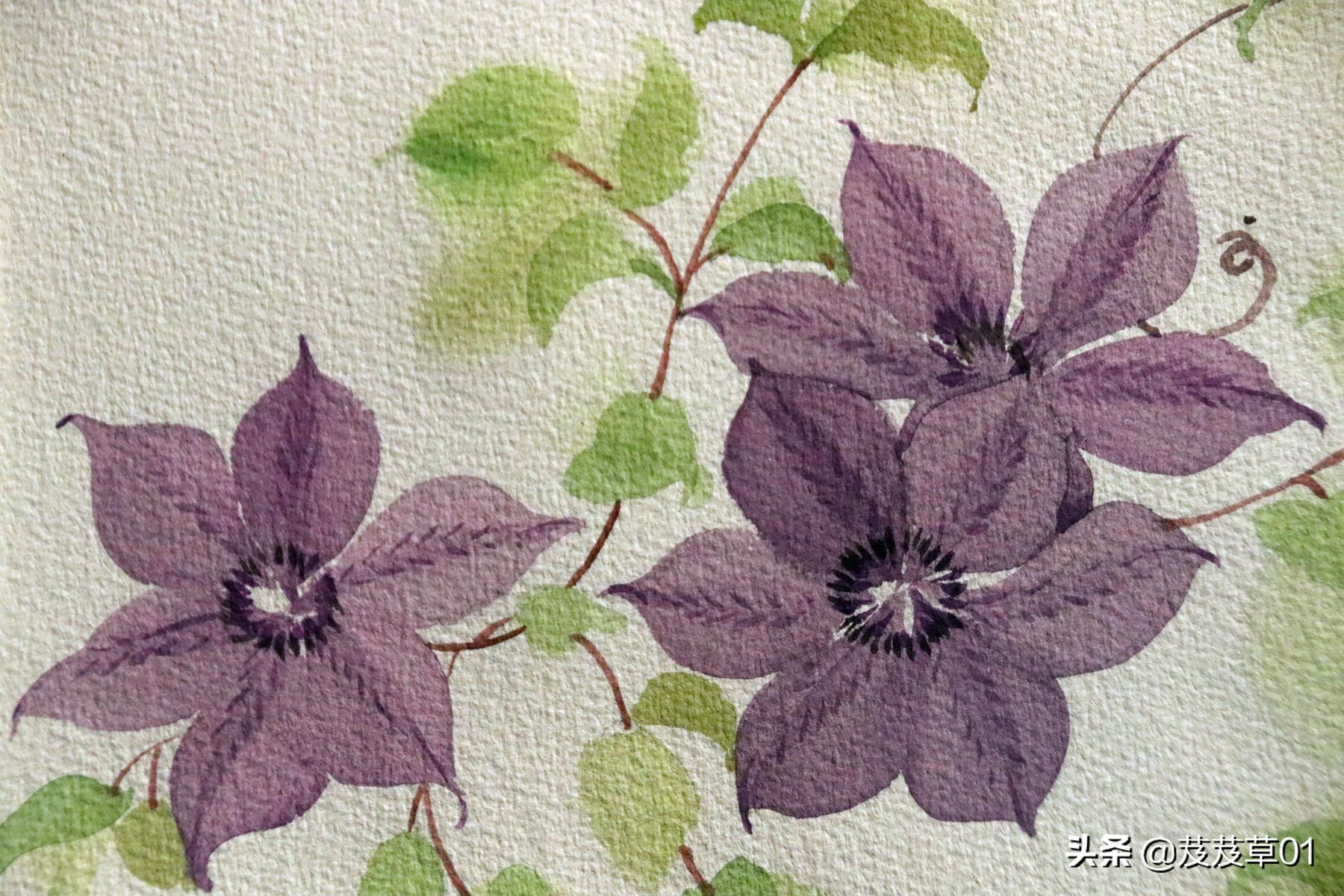 与老年人沟通的说话技巧,老年人语言沟通技巧