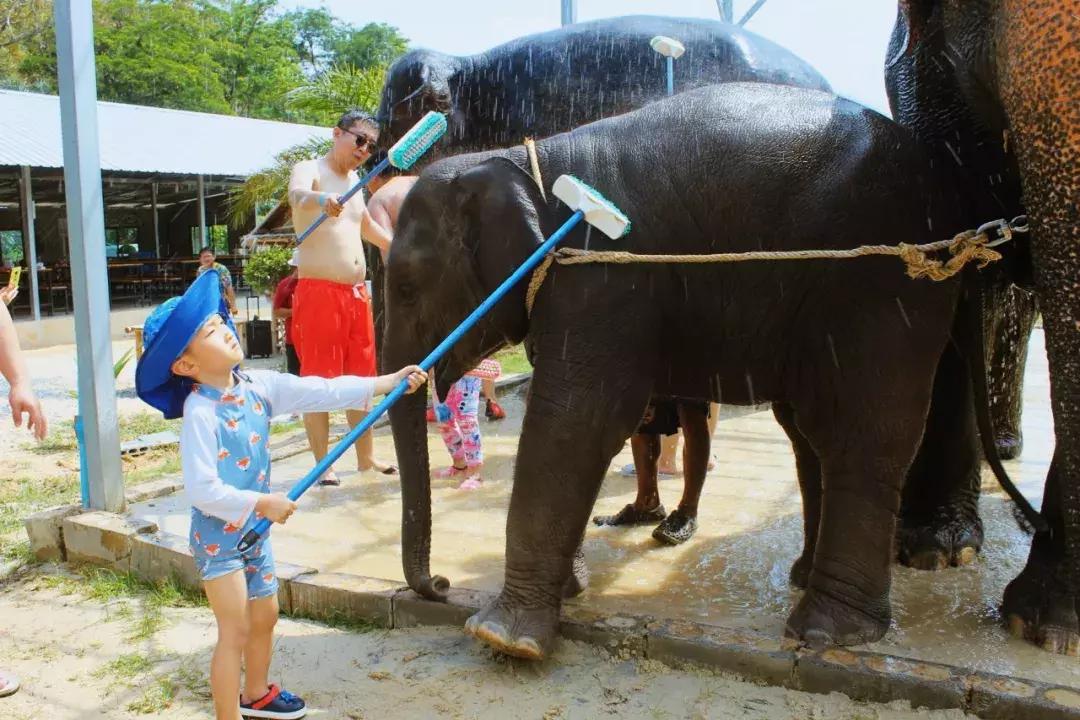 普吉岛雨天游玩攻略视频,普吉岛旅游帆船3天2晚