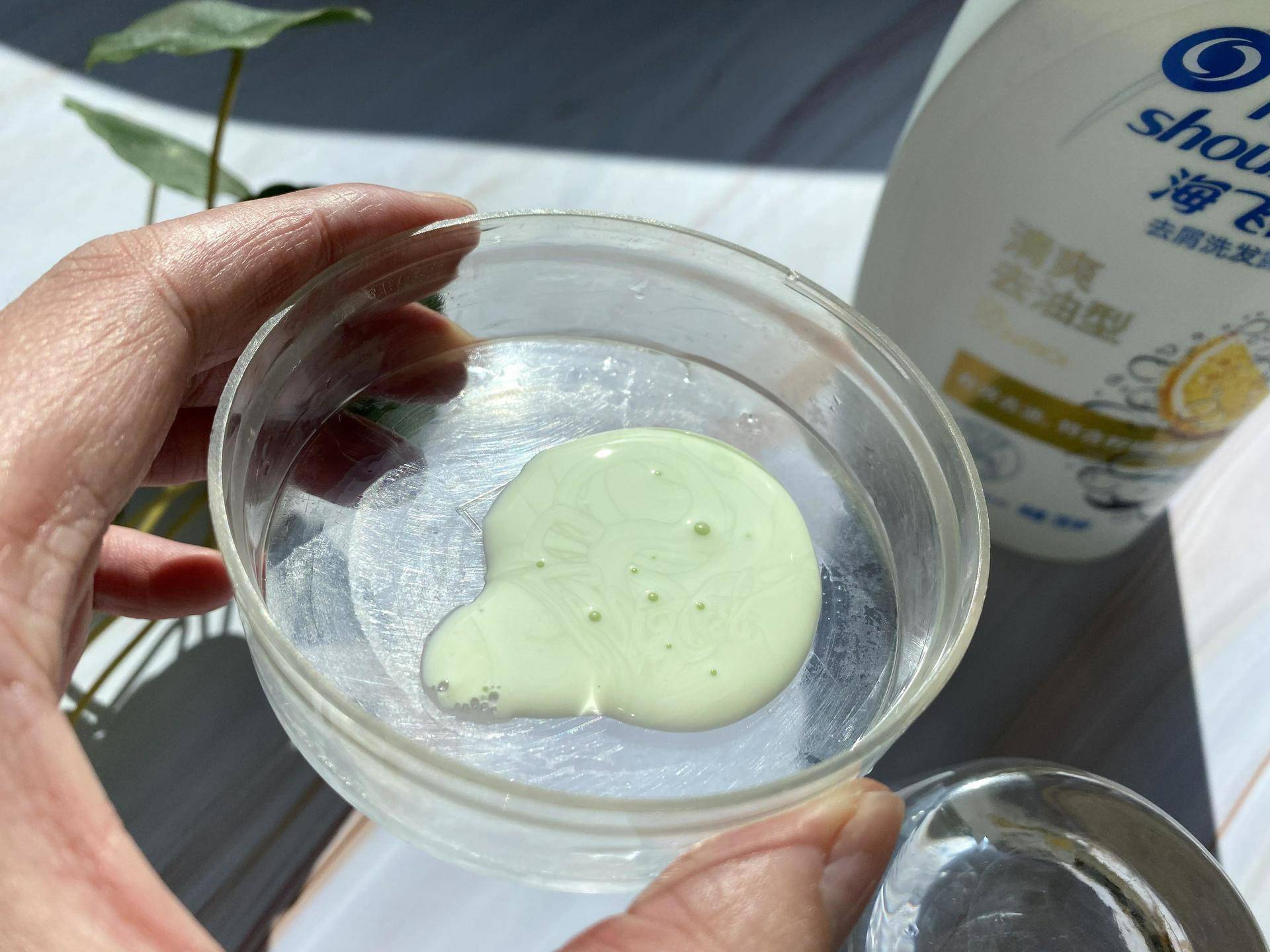 乱花渐欲迷人眼好在哪里,乱花渐欲迷人眼怎么样