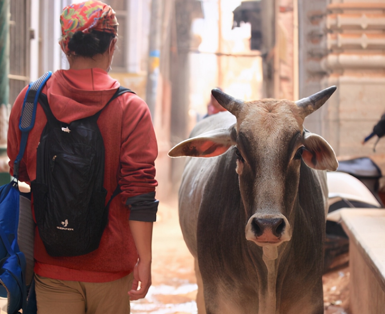 印度黄金首饰哪里便宜 (印度金店有什么优势)