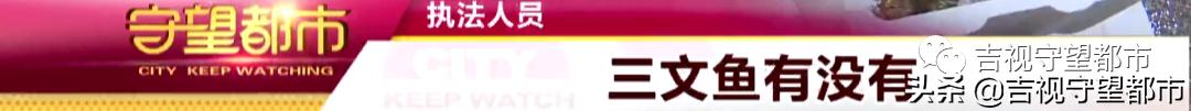 长春市严查水产批发市场,长春水产海鲜市场封了吗