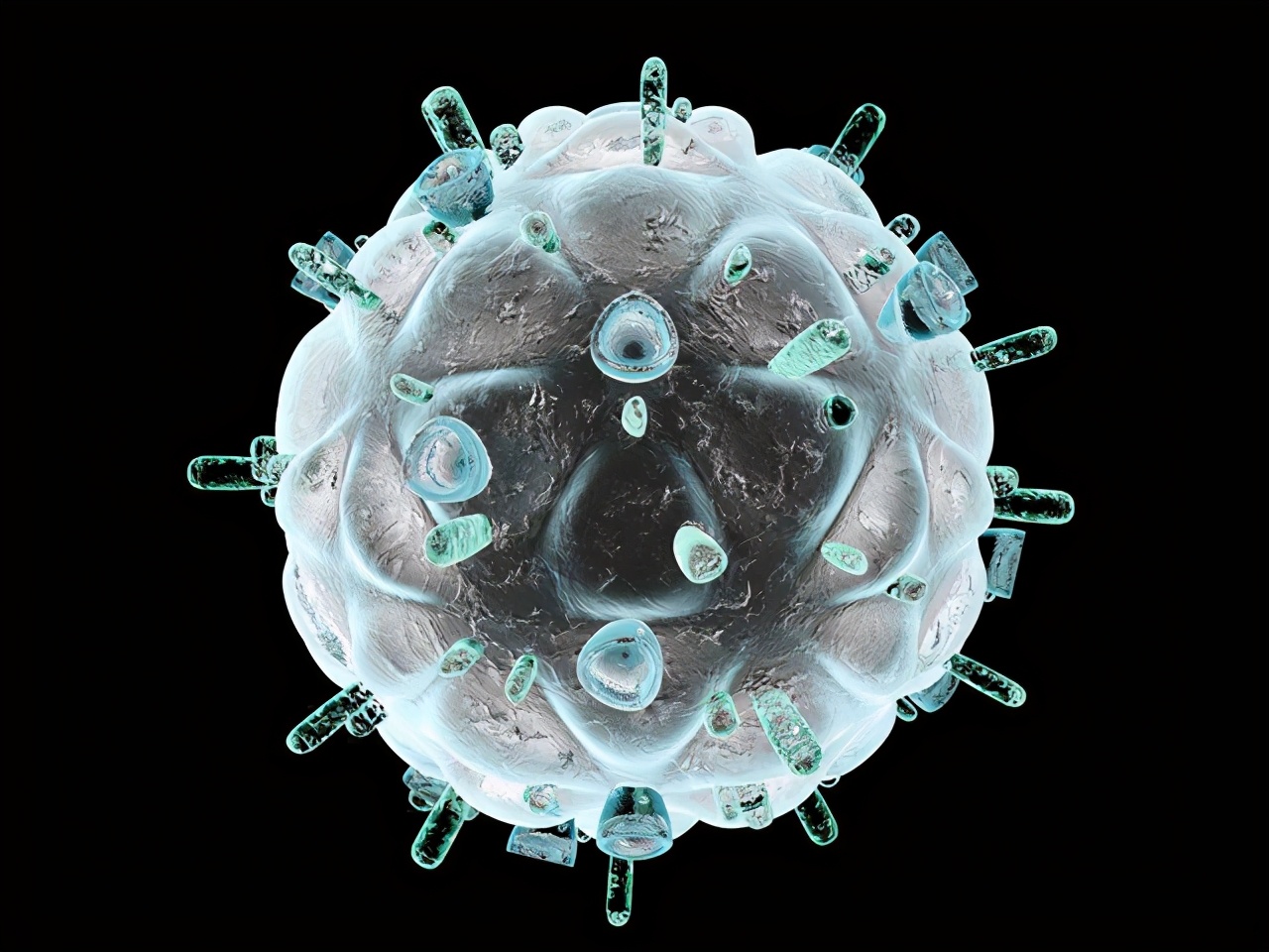 猩猩艾滋病毒是怎么传染给人的,艾滋病毒主要侵害细胞