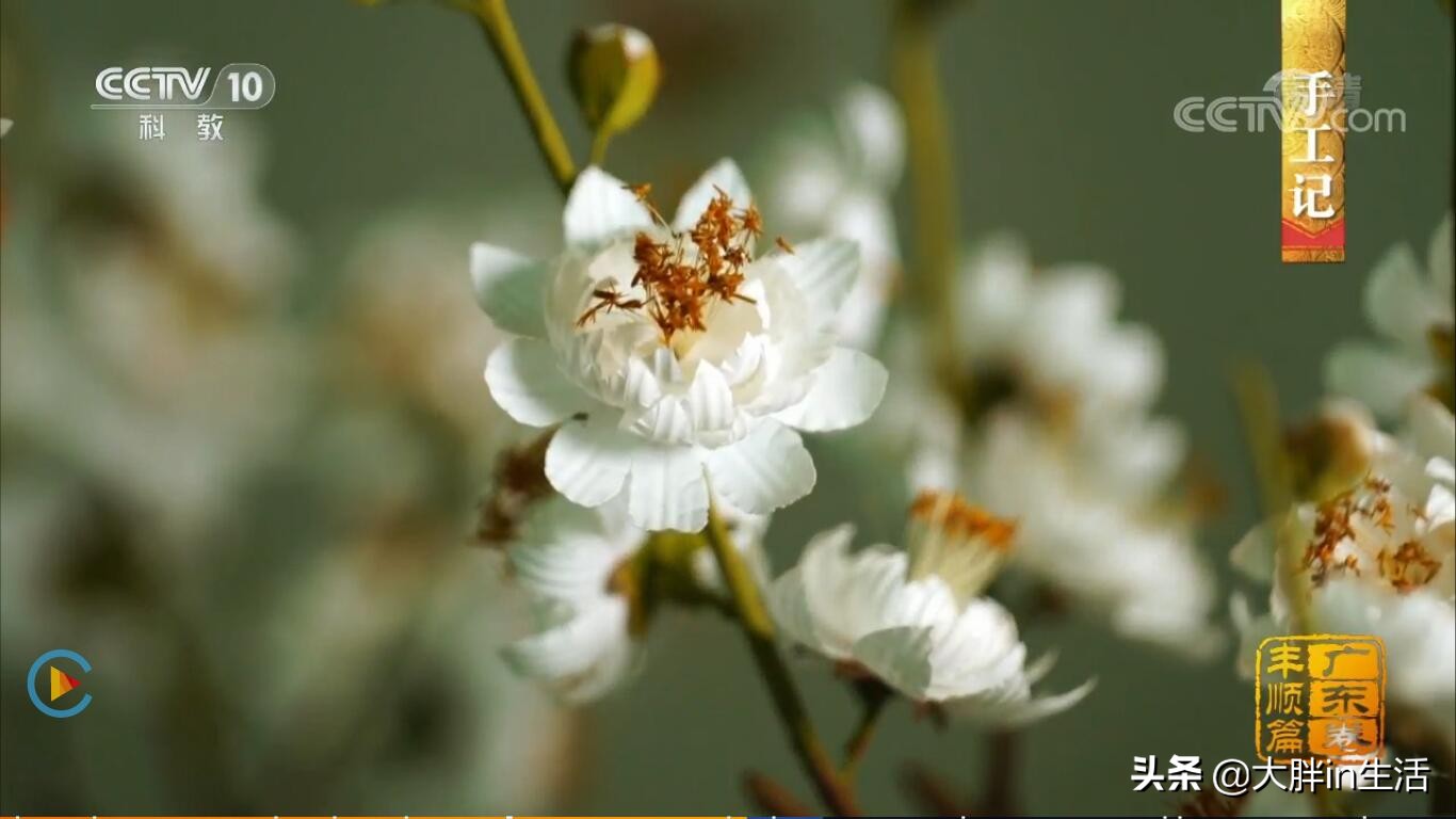 潮汕客家文化的交融之地，丰顺又上央视了，带你全方位了解