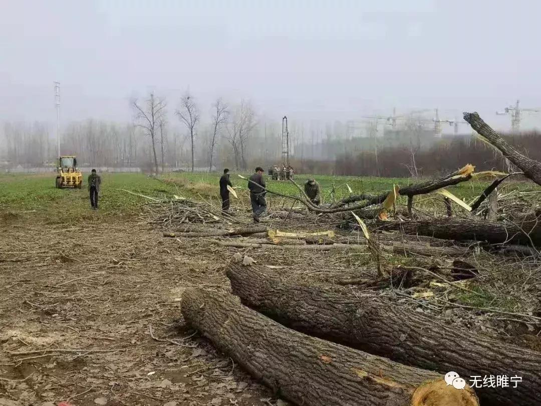 徐州万达广场三期工程进展,徐州万达广场总投资多少