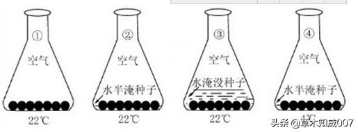义务教育科学四年级期中测试卷,苏教三年级科学下册质量检测试题
