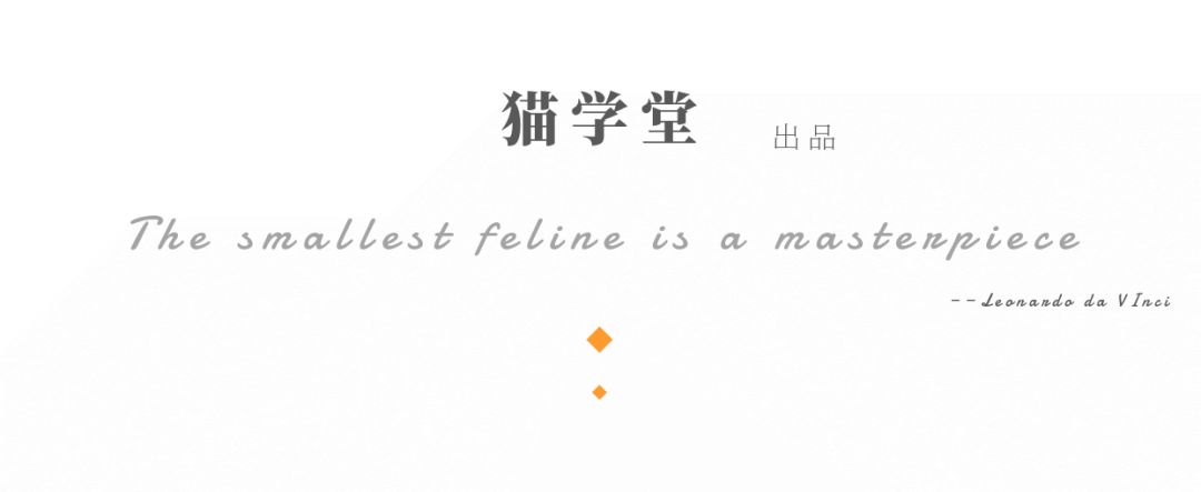 猫咪畸形断腿怎么安乐死,畸形的新生猫咪如何安乐死