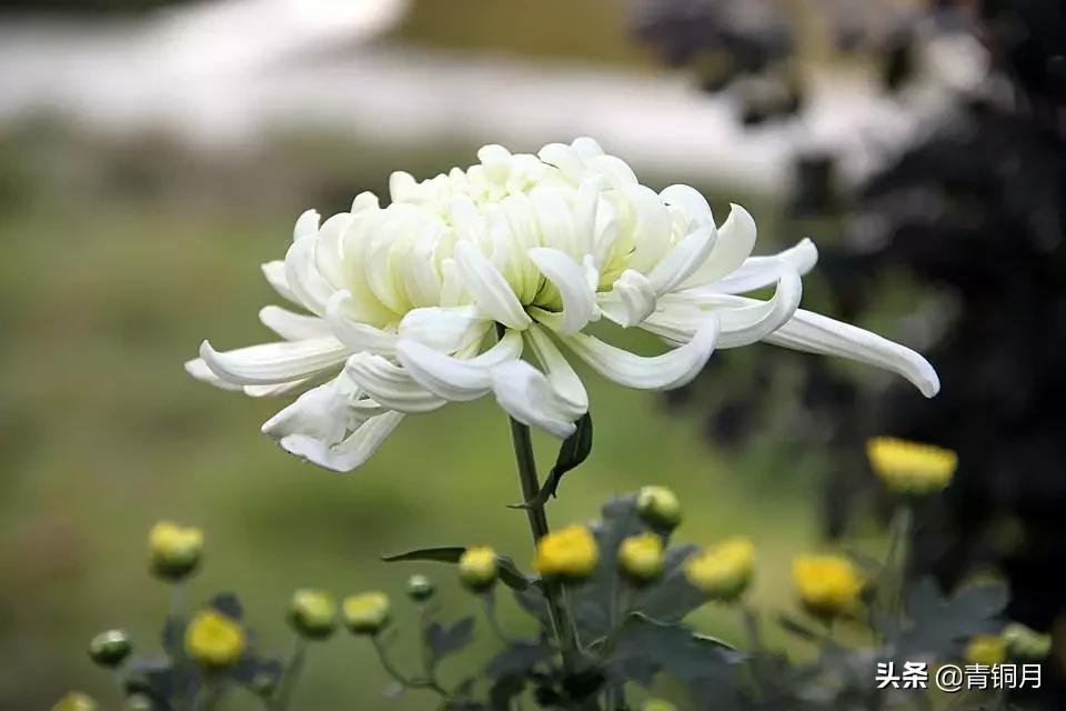 我的妈妈,我的妈妈电影完整观看