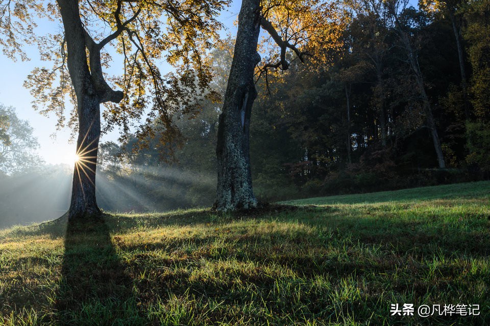 学习摄影知识入门看哪本书,摄影基础知识光圈
