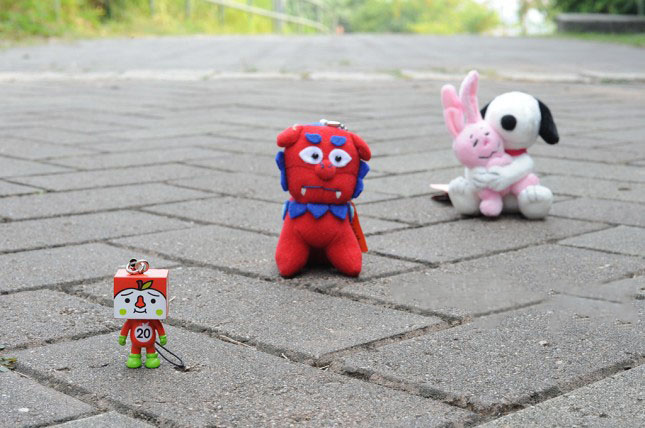 「摄影小白学习篇」3个拍出浅景深的简单技巧