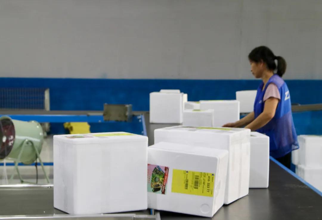 你的冰淇淋再也不怕化了！这样包装冰冻时间可达70小时