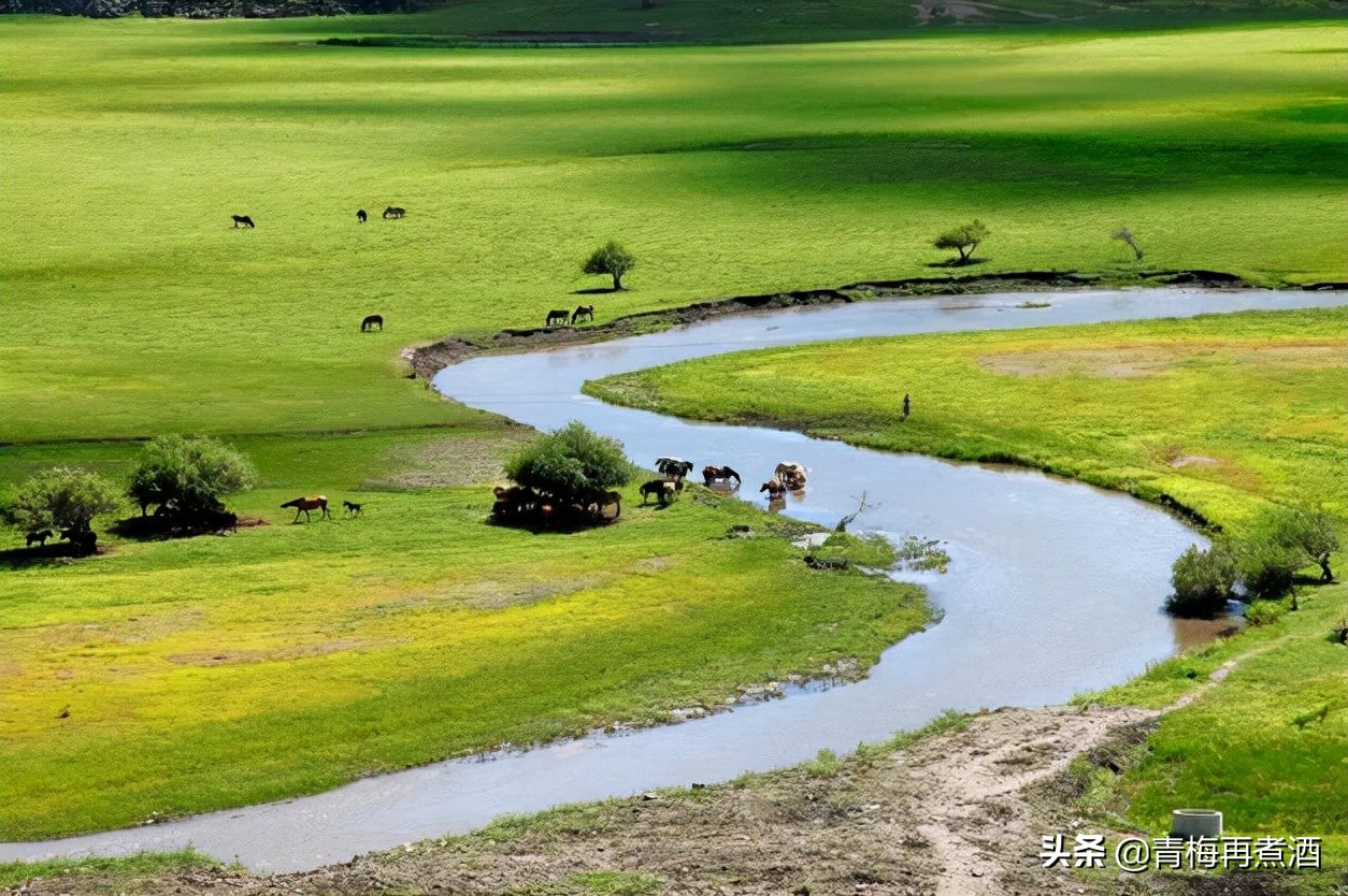 内蒙古有什么好喝的酒,内蒙古好喝的酒有哪些
