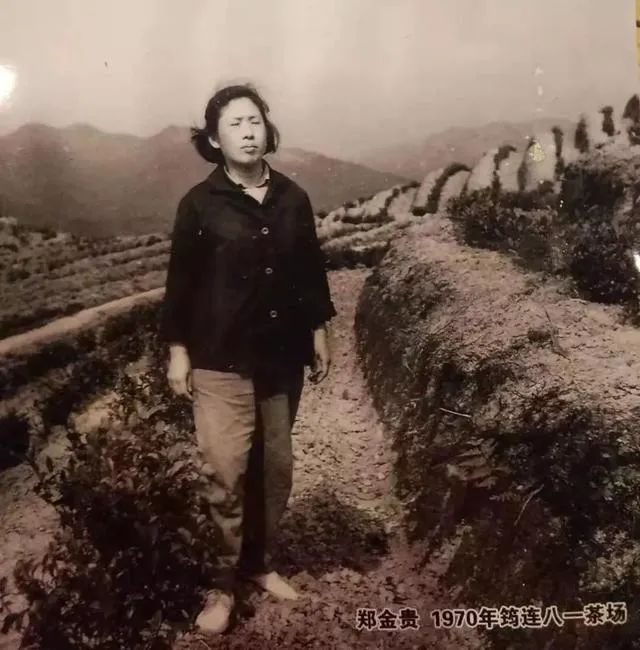 川红工夫,川红工夫红茶的历史