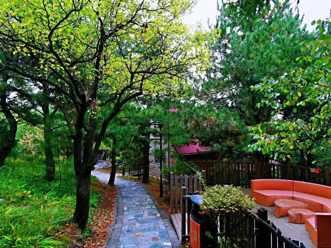 天津周边古镇一日游最佳路线,天津附近古镇免费游一日游攻略