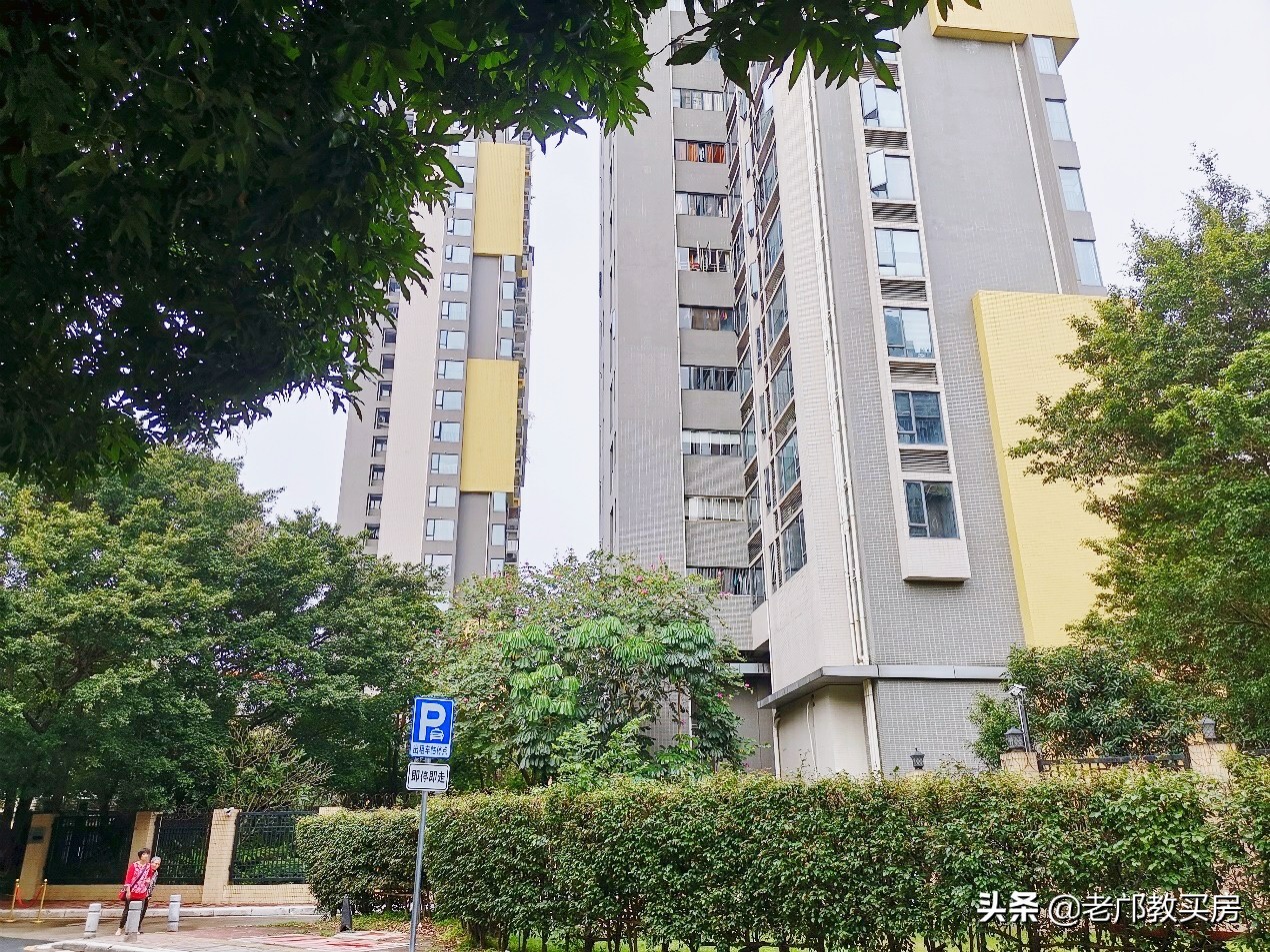 海珠区双省一级学位房,海珠省一级学位小区