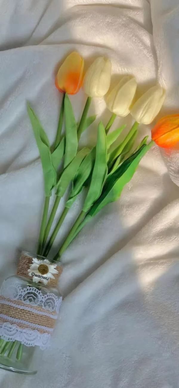 大智若愚什么意思简单的讲解一下,上善若水大智若愚什么意思