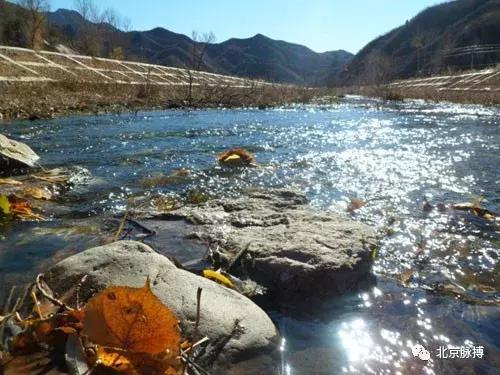 北京国家森林公园风景,画说北京故事