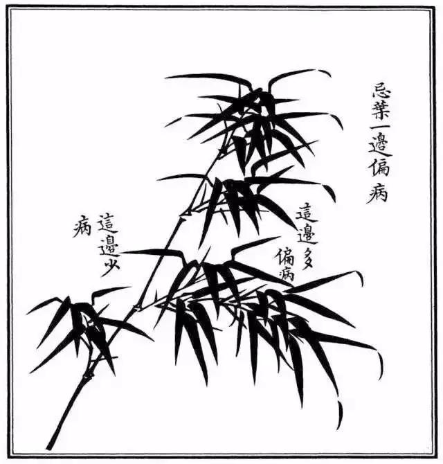 不会绘画怎么画,不会画画如何画草图