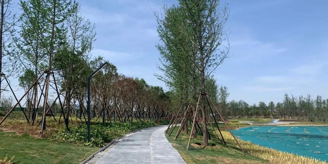 多图直击：即将交付的郑州荷湖片区，能否成为新晋网红打卡地