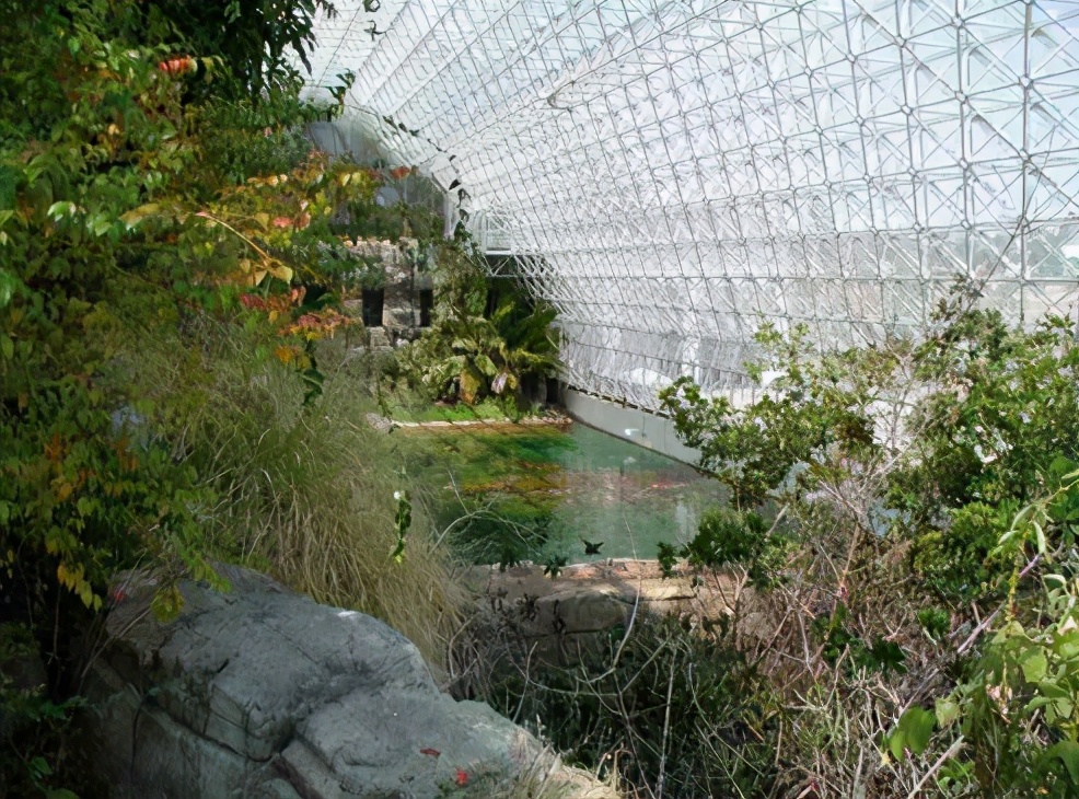 每日一问有好的想法怎么变现,怎么样才能在火星上生存