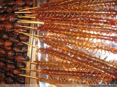 带大家了解一下昆虫美食,国外很火的4种美食昆虫你敢吃吗