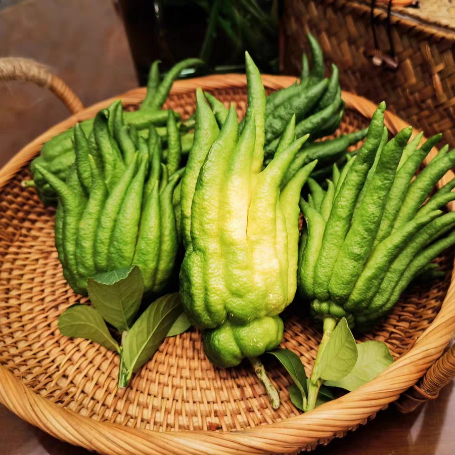 小时候怎么没听说过佛手瓜,佛手瓜和佛手不是一种东西吧