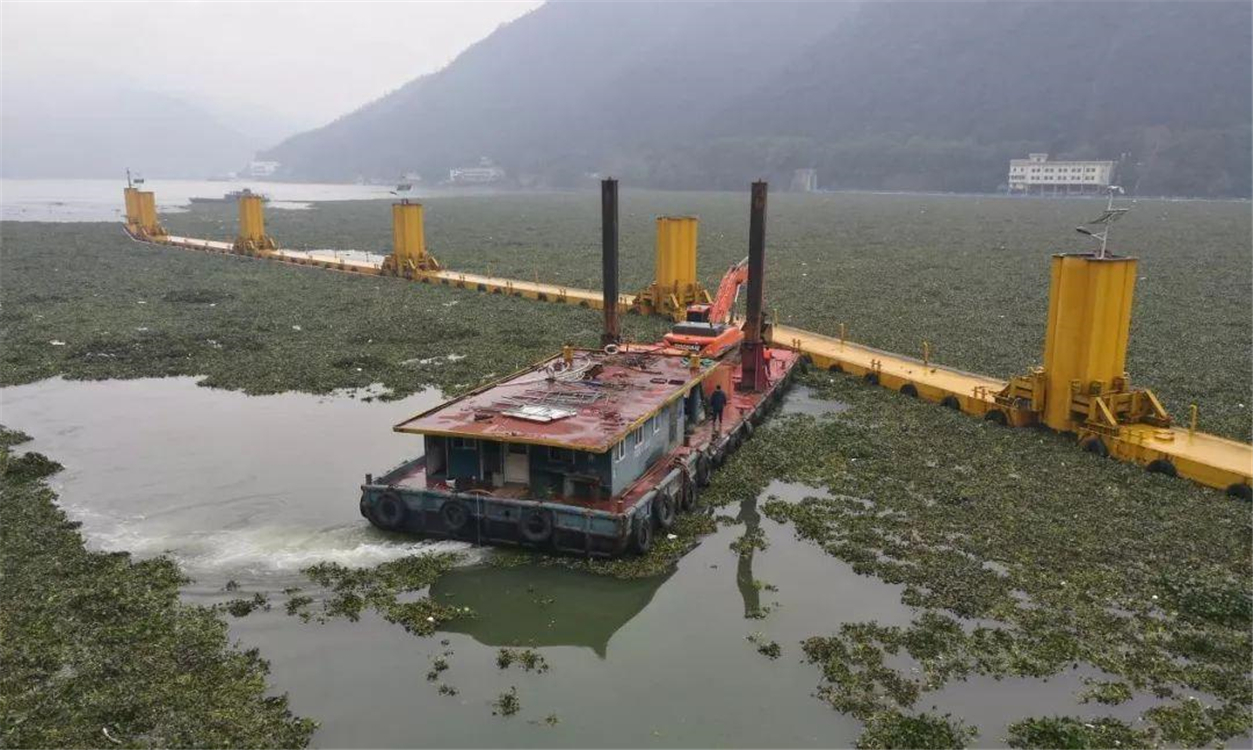 水葫芦入侵过程,水葫芦入侵方法