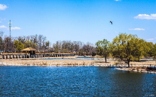 北京室内遛娃好去处,春节遛娃好去处北京