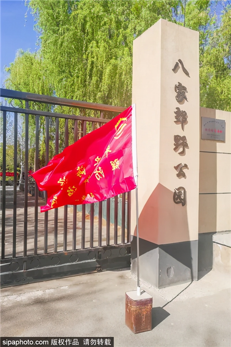 紫色花海哪里最好玩,紫色的花海景点