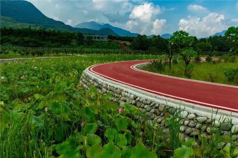 3月底天府绿道哪段最美,天府绿道介绍及特色