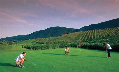 奥运会速度最快的球,奥运比赛哪个泳姿最快