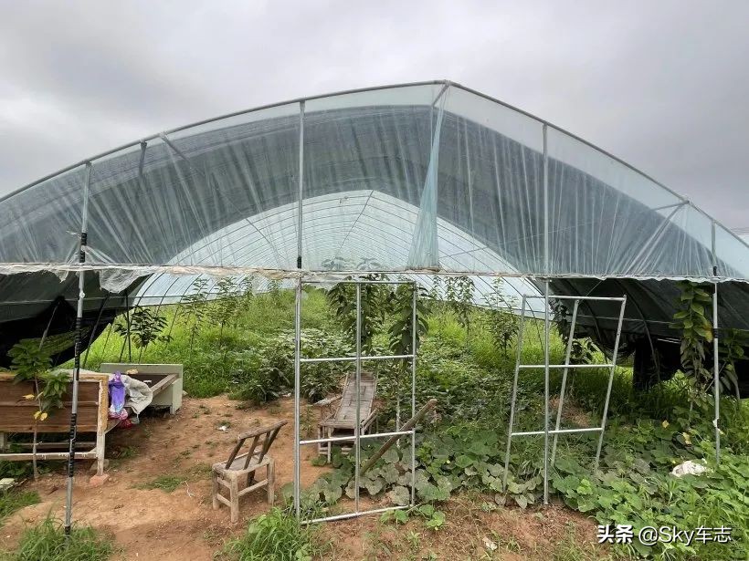 7万公里老款宝马x5,宝马x5的优缺点