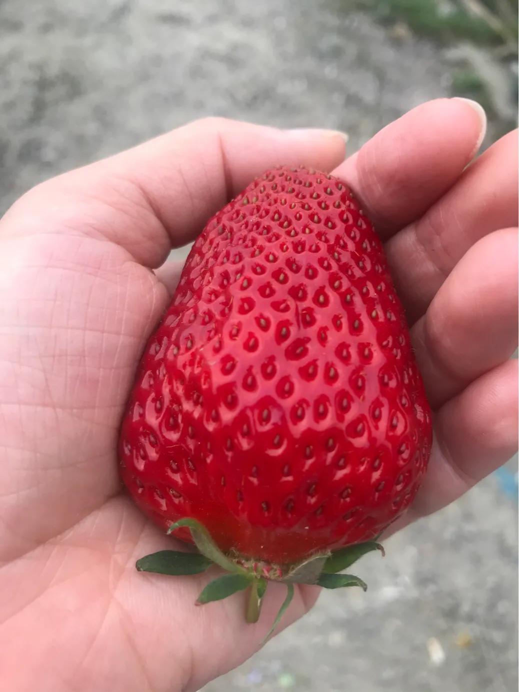奉化旅游团一日游,奉化乡村一日游最佳景点