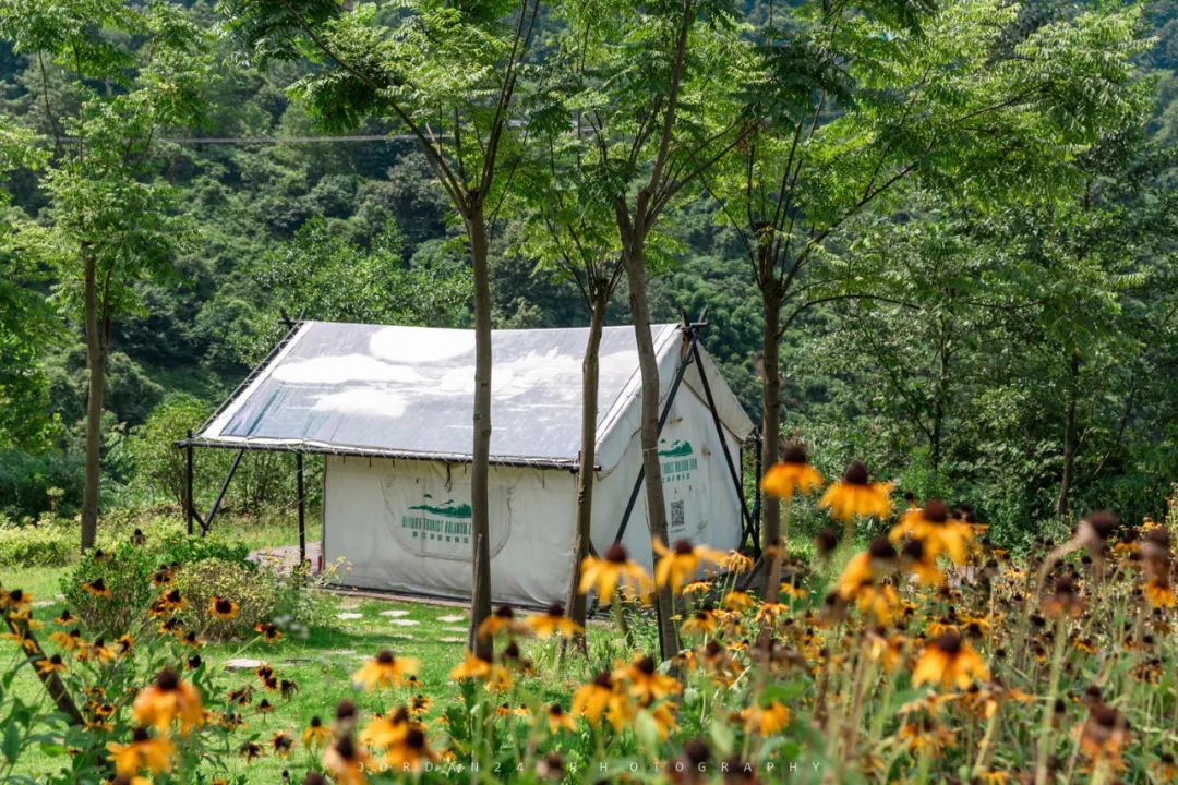 綦江城区游,重庆綦江区旅游