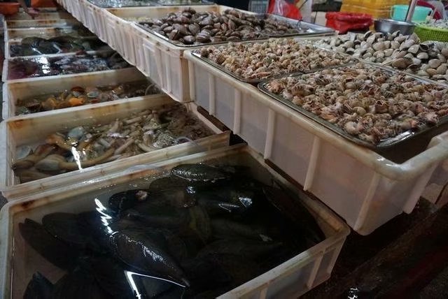 三亚新年自由行,一个人的旅行三亚之旅