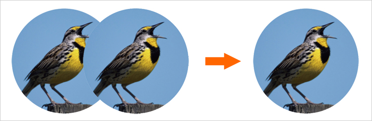 双筒望远镜使用方法教程视频,单筒望远镜正确使用技巧