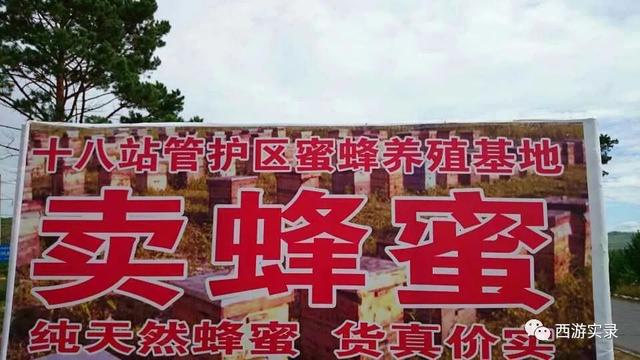 旅行自驾环球,中国人自驾环球旅行