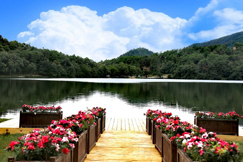 冬天四川旅游十大必去景点,四川冬日旅游景点推荐