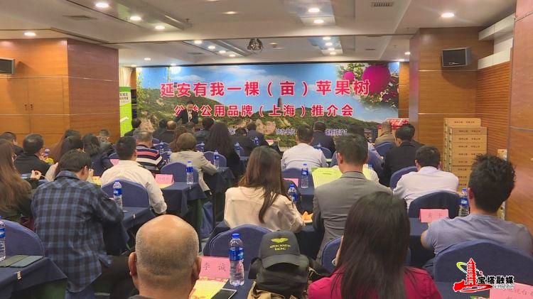 鍔涢噺2020,鍔涢噺2022