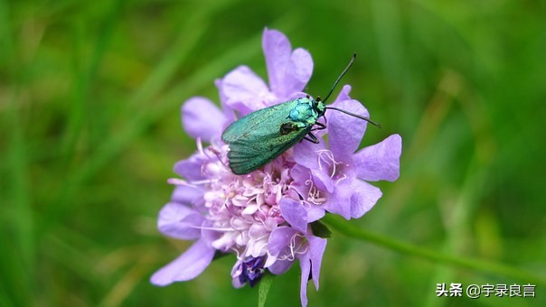 成功者在于坚持放弃者永不成功,关于成功不放弃的励志语录