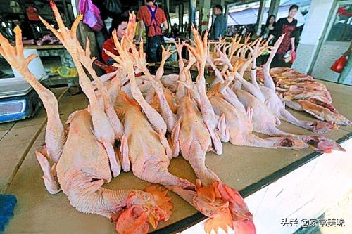 买鸡怎么看是不是病死鸡,买鸡肉怎么看嫩不嫩