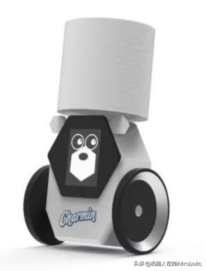 高科技硬核机器人,ces前沿的科技产品人形机器人