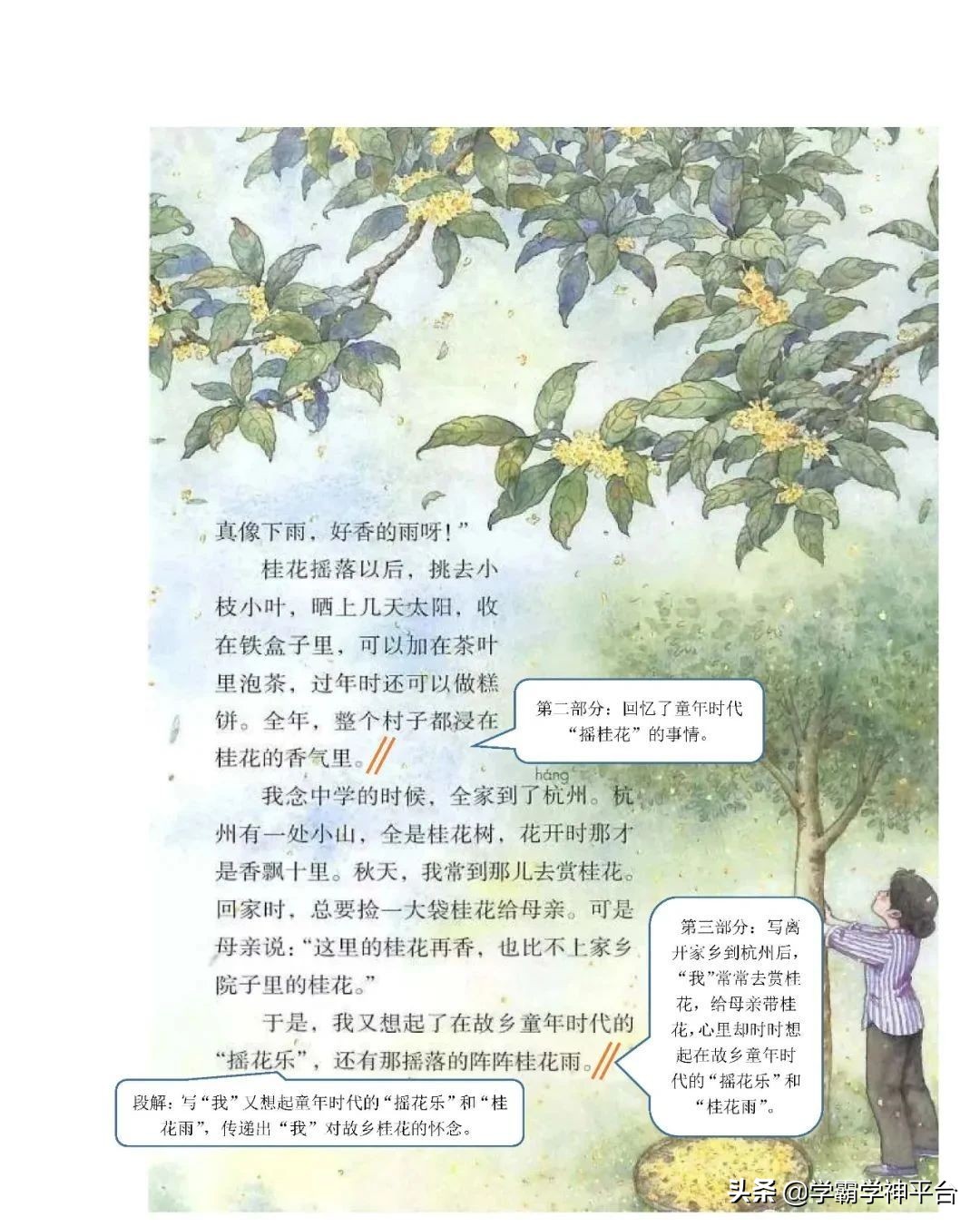 五年级上册语文全册知识点归纳,2021-2022年五年级语文上册人教版