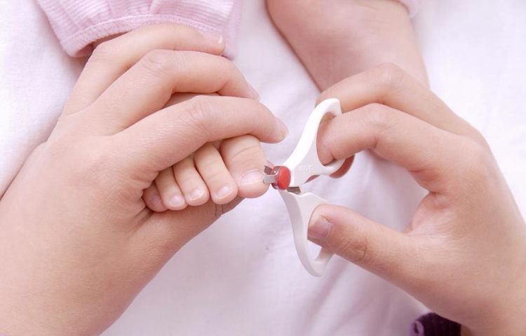 给宝宝剪指甲不剪会怎样,婆婆不让给宝宝剪指甲