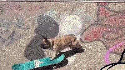 开心一刻gif搞笑动图,搞笑gif段子看起来能量满满