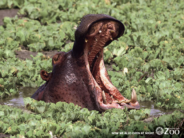 广告创意完全手册,广告经典创作思路