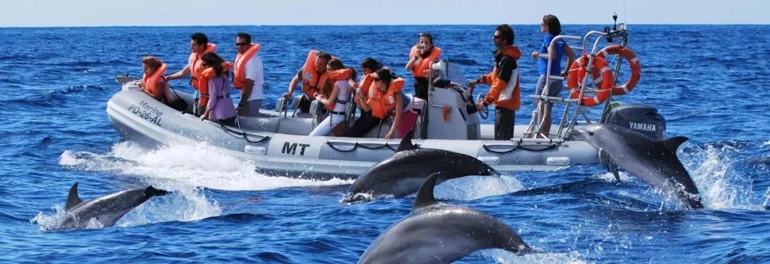 斯里兰卡对华限时免签,2023斯里兰卡免签规则