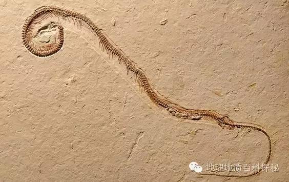 鬼斧神工地质遗珍视频,鬼斧神工的地质