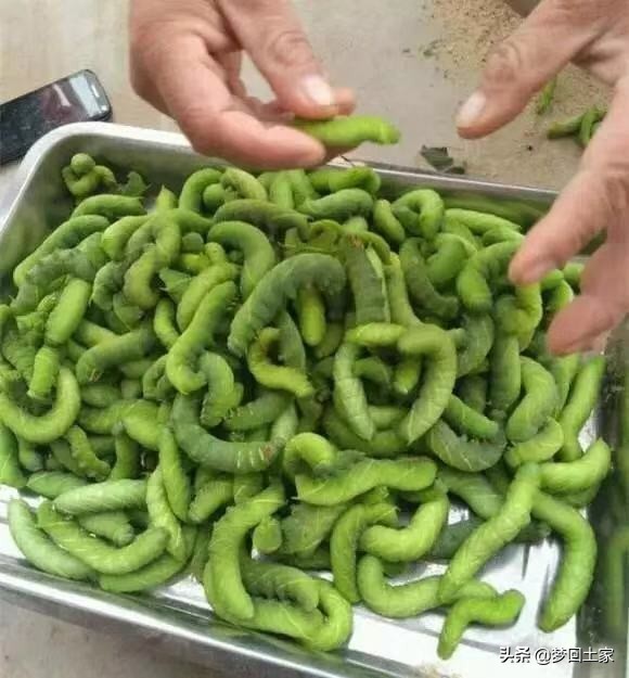 揭秘五种不能吃的街头小吃,全国各地黑暗小吃