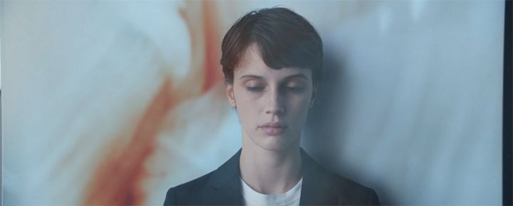 戛纳电影历届最佳短片,戛纳著名电影