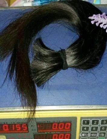 理发店里的碎头发回收有什么用呢,碎了的短头发有什么作用